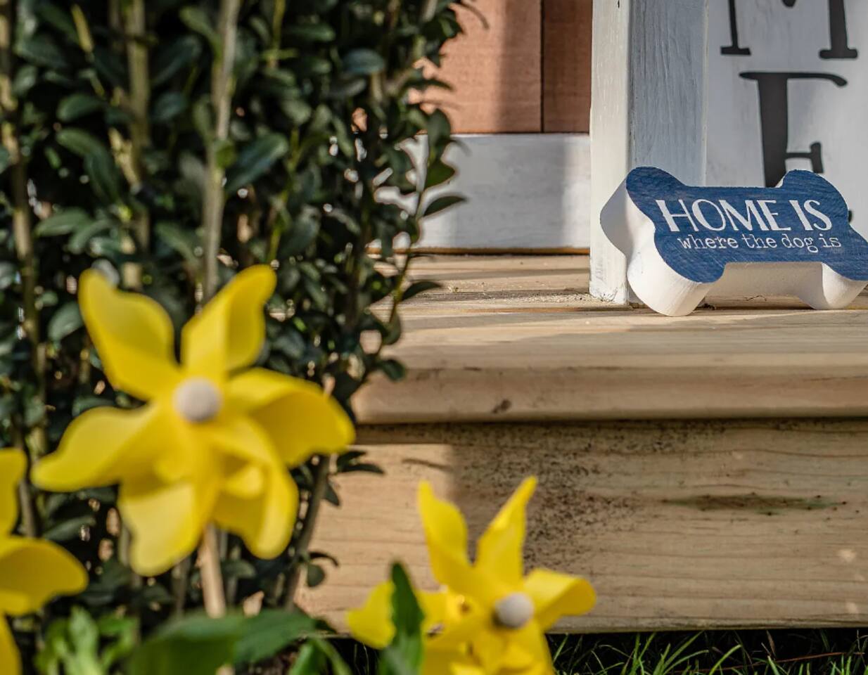 Stunner Downtown Modern | King Bed | Pet Friendly!