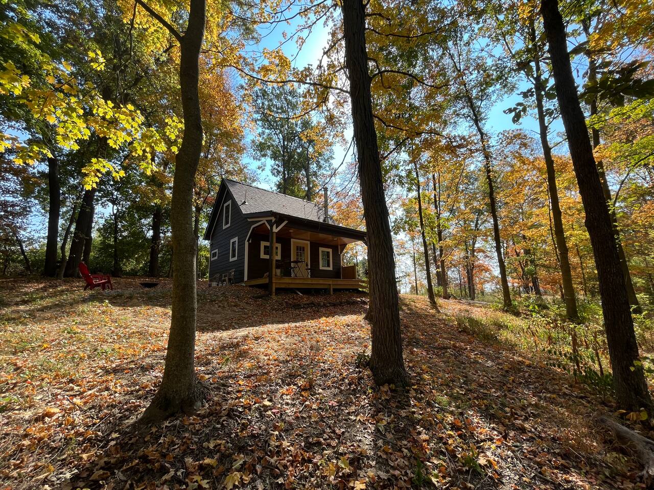Secluded Cabin*Blue Sky & Shawnee*Pet-Friendly — Makanda — vacation rental