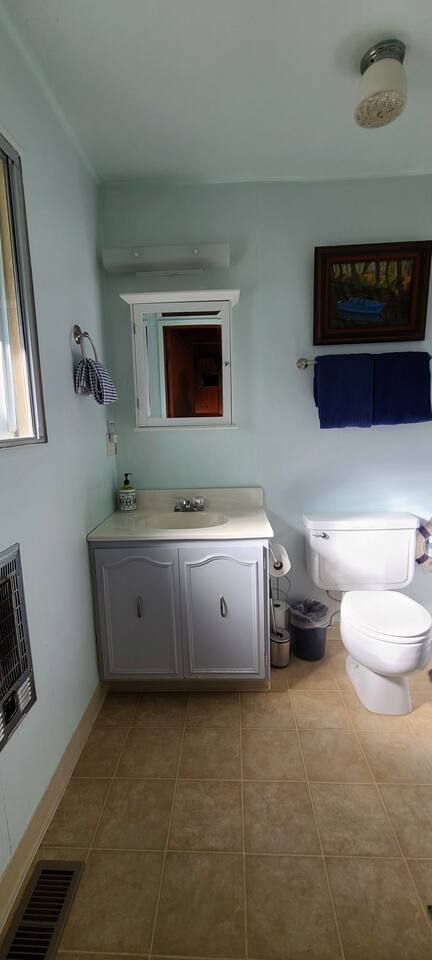 Lakeview Lodge, bookable boat slip! - Holiday Home