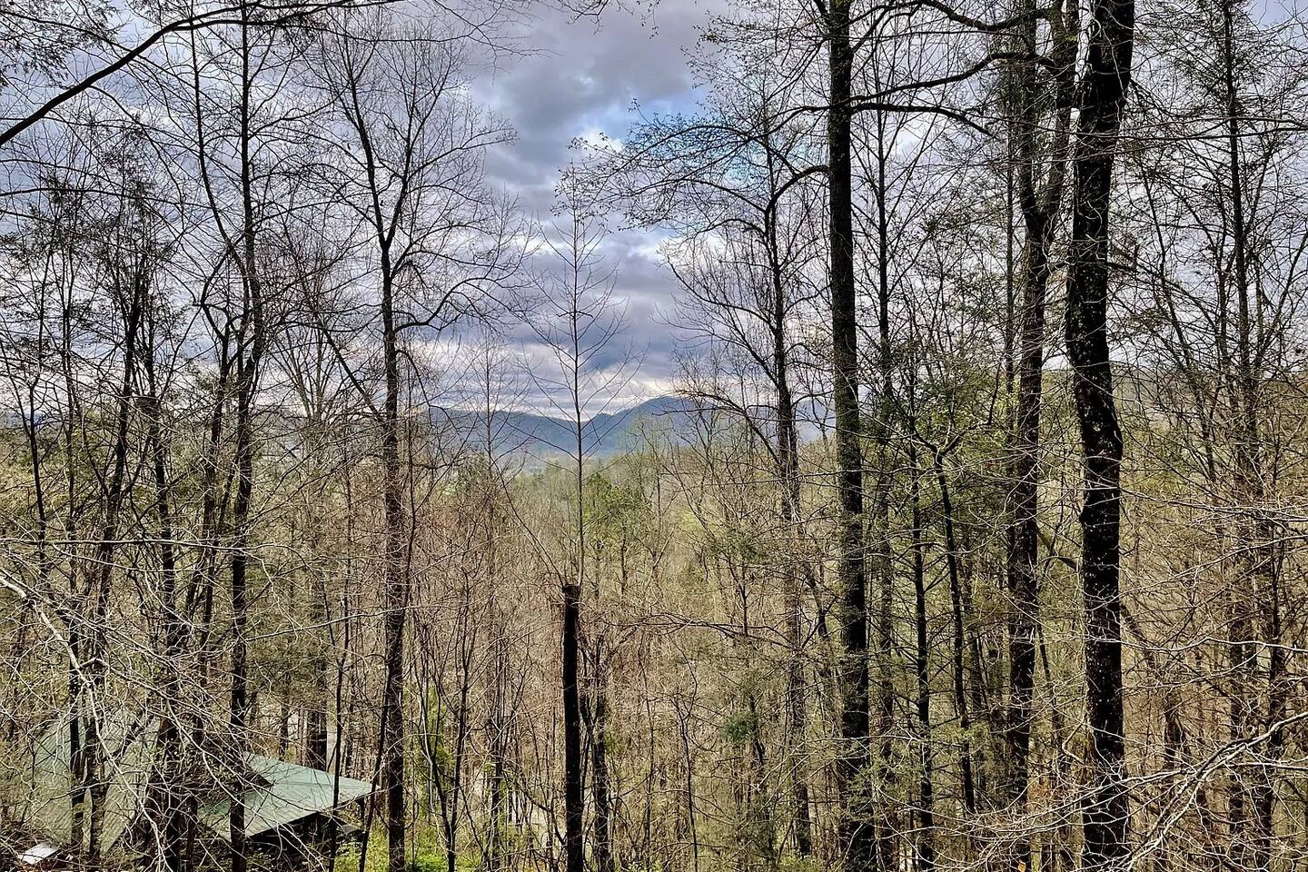 Seasonal View! Kid's Loft, Theater, Hot Tub, XBox