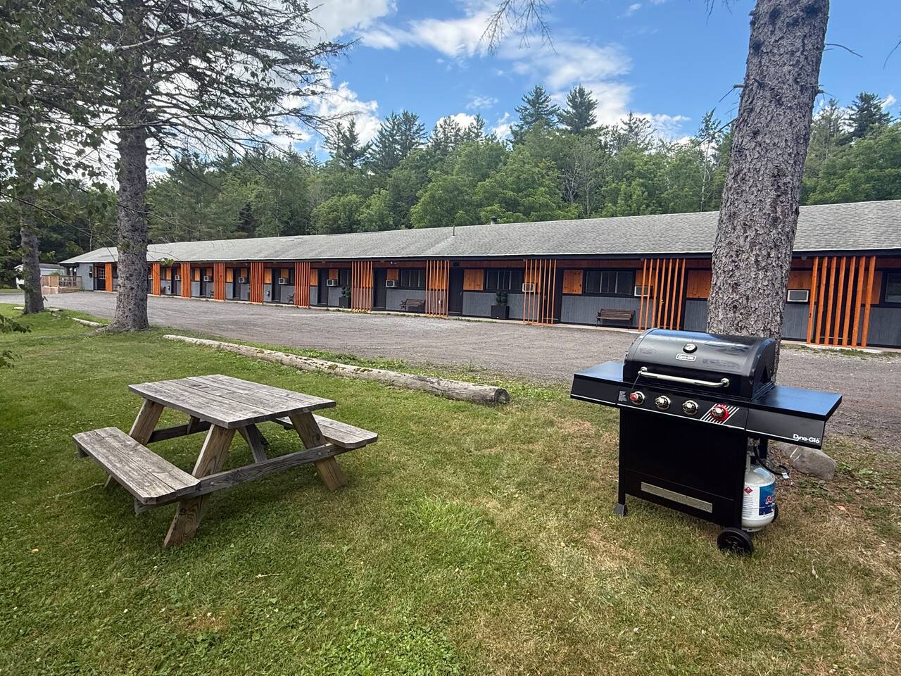 Perfect Lodge /w Gameroom Center of Hunter MT 6