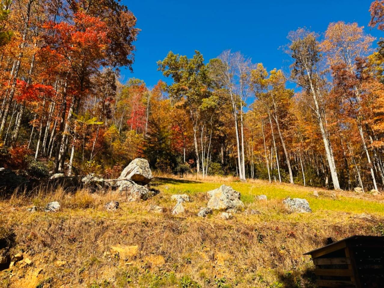 Mountain Tranquility, 1 Bedroom cabin secluded in the mountains of East Tennessee