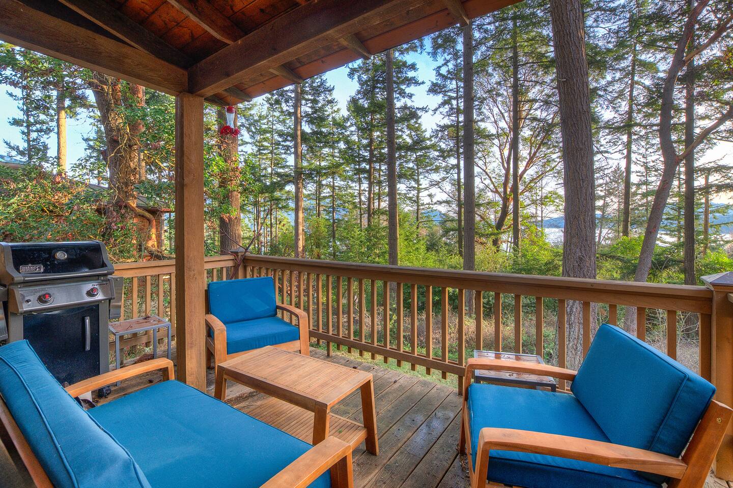 Cozy Cottage in the woods — Eastsound, WA — vacation rental