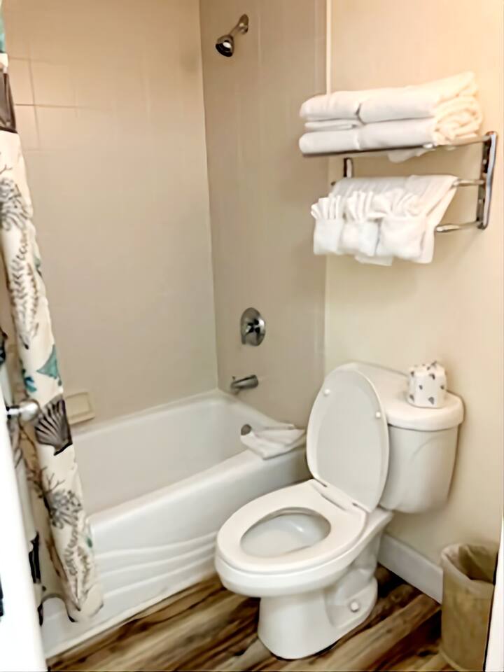 Cozy Daytona King Deluxe Studio