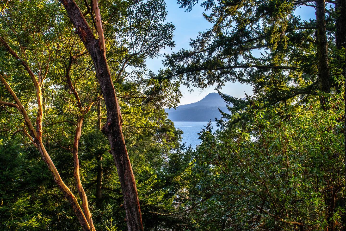Newly updated cottage; hot tub, forest/ocean view