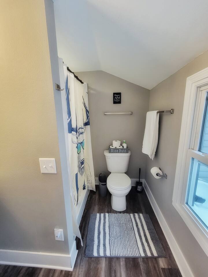 Sweet Cottage near Downtown DSM