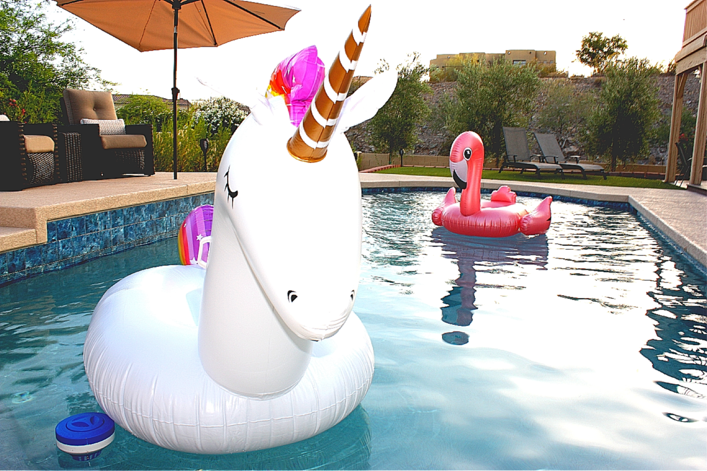 Phoenix 4BR Oasis in the Cove-Pool Heat Available!