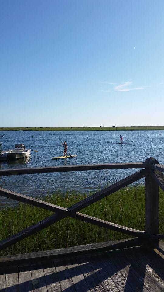 Chatham: Tennis, water views/access, pet friendly!