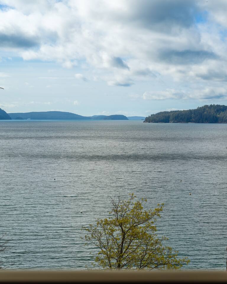 Ocean-front unit, views, hiking