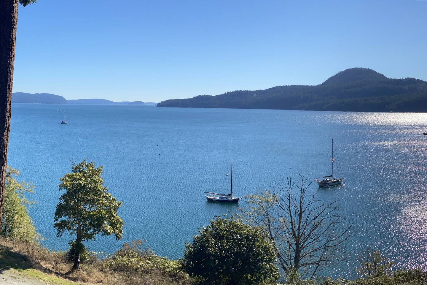 Ocean-front unit, views, hiking — Eastsound, WA — vacation rental