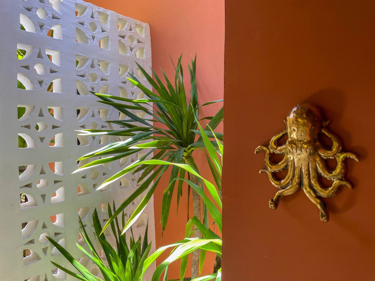 Casa Mariposa