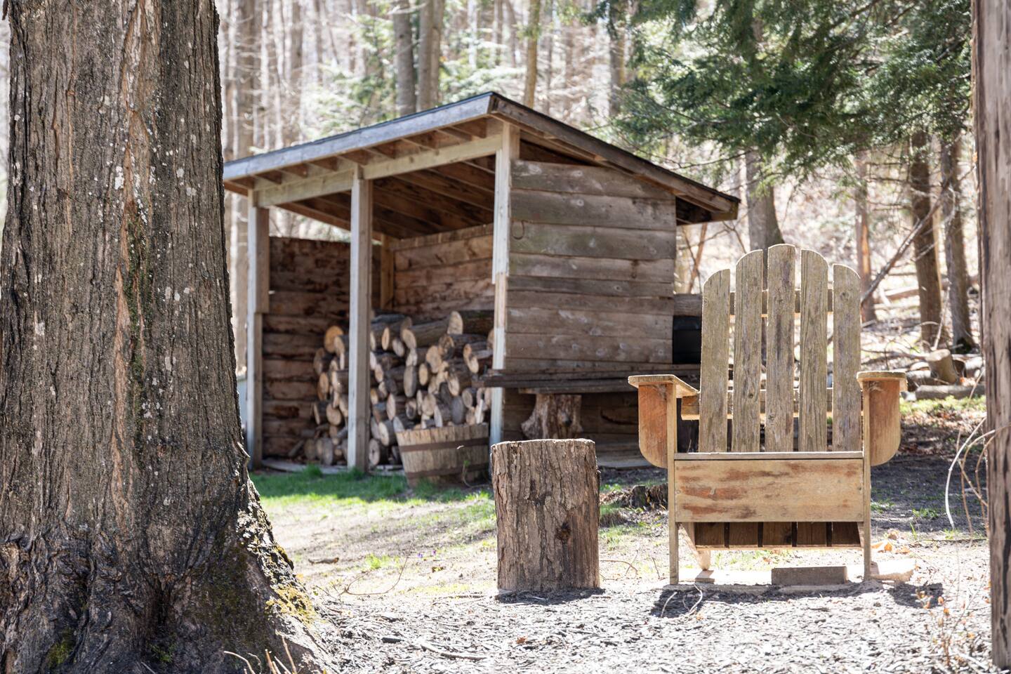 Cedar House