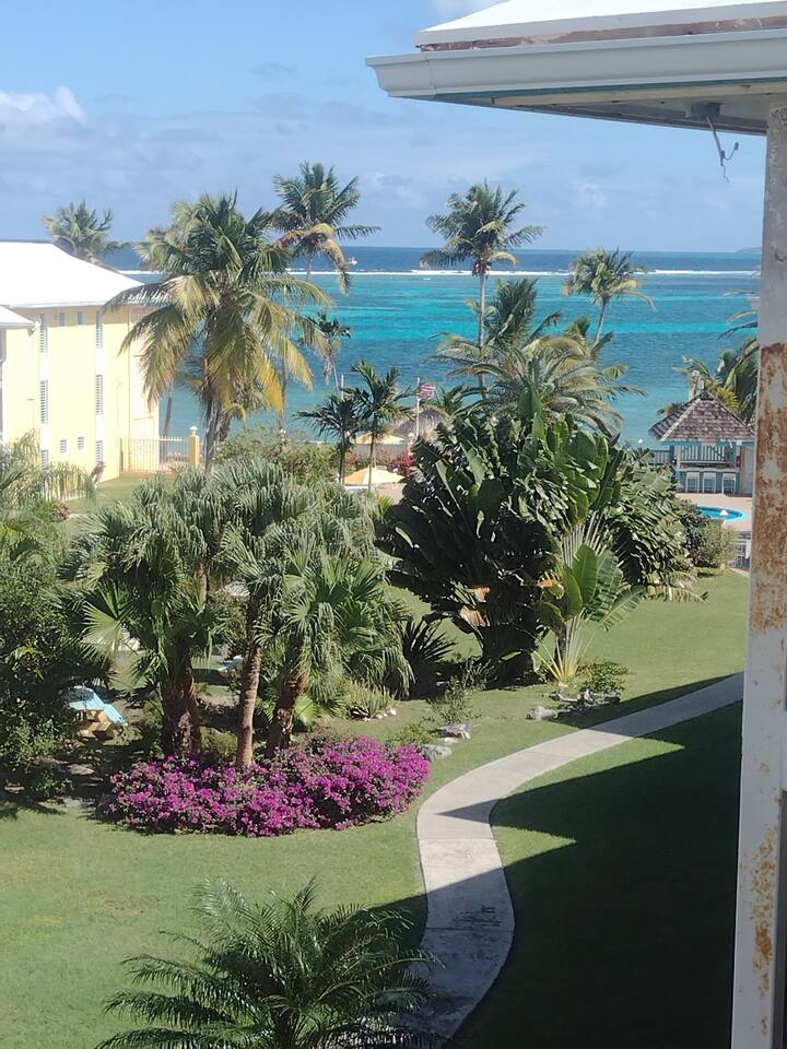 Palm Breezes Condo