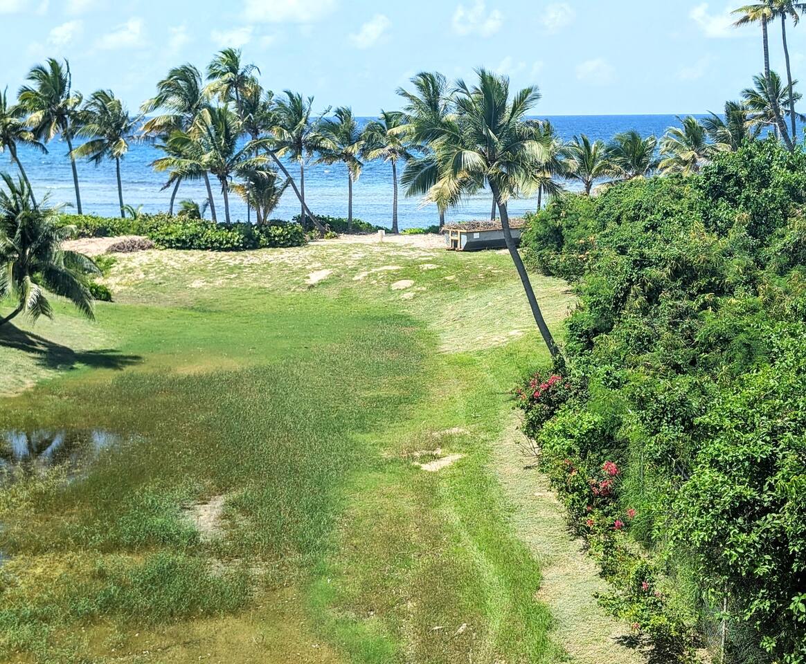 Pelican Point