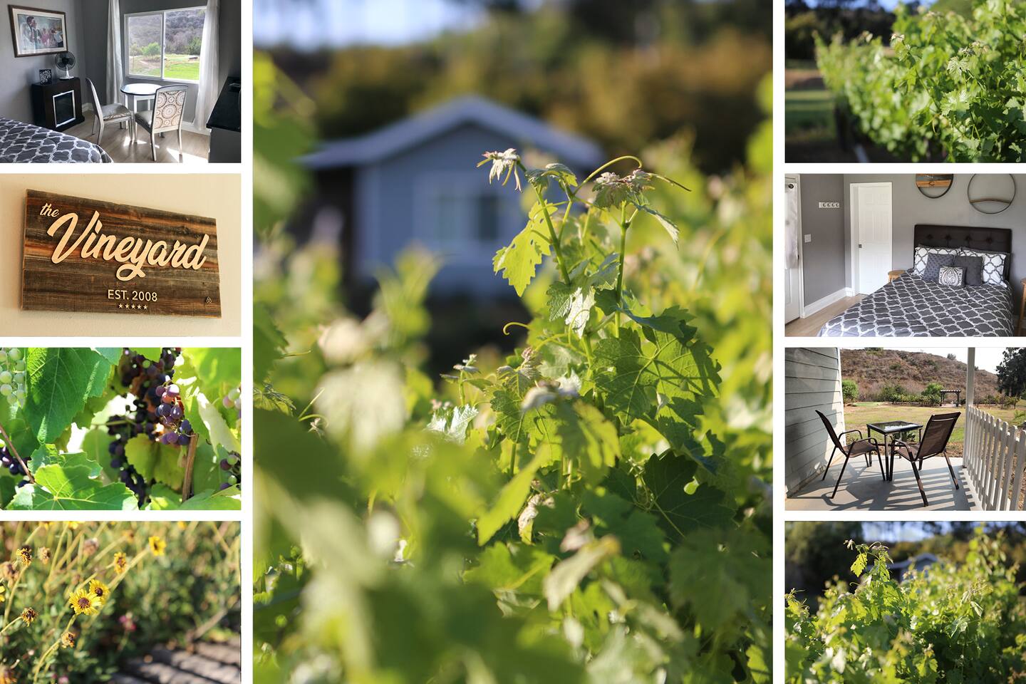 The Vineyard - Solitude - Private — Camarillo — vacation rental