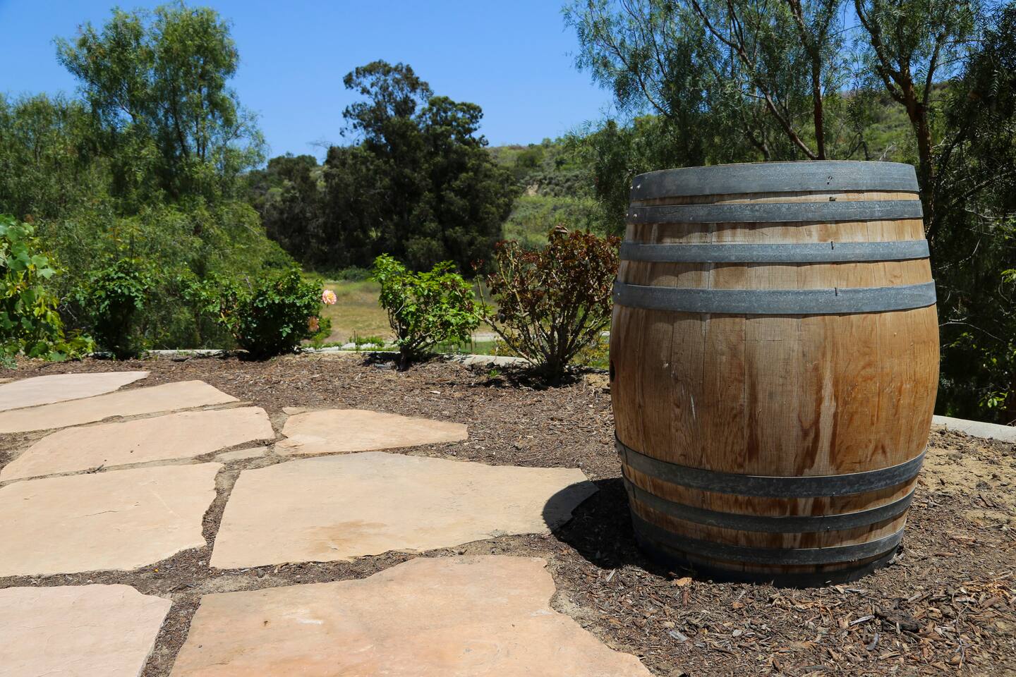 Vista Over the Vineyard - View!