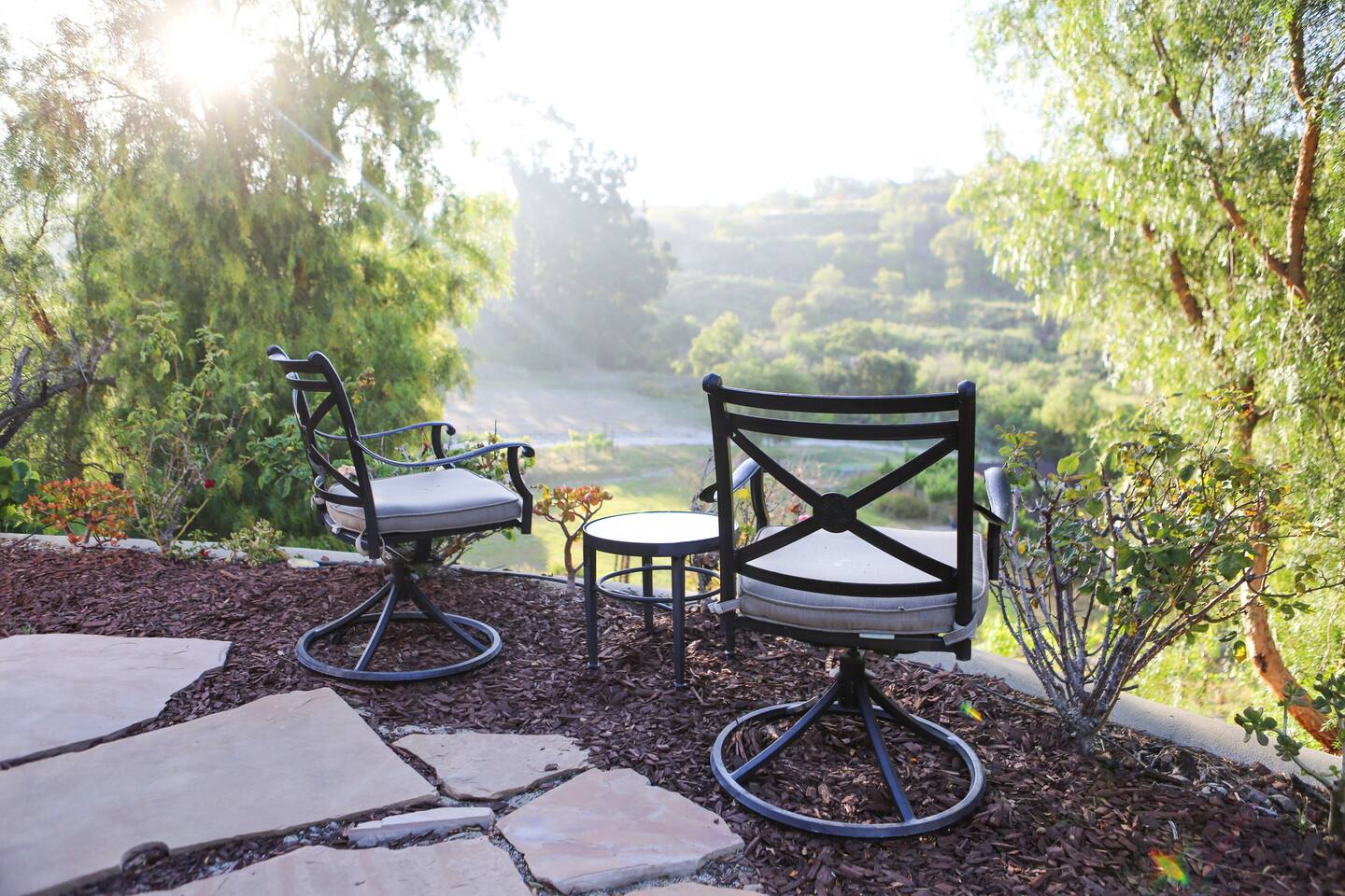Vista Over the Vineyard - View!