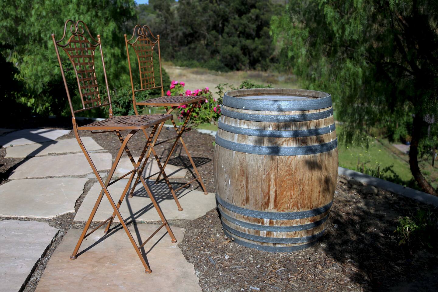 Vista Over the Vineyard - View!