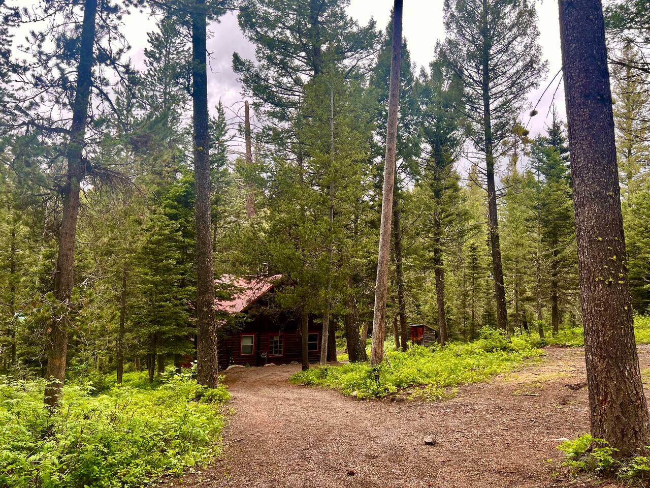 Whiskey Pines