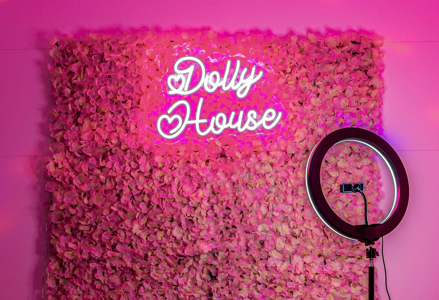 10m to DT-8beds-HotTub-Dolly Parton’s Pink Home