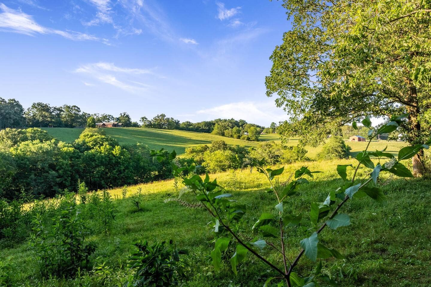 Breeze: Modern Cabin Near Downtown Blue Ridge