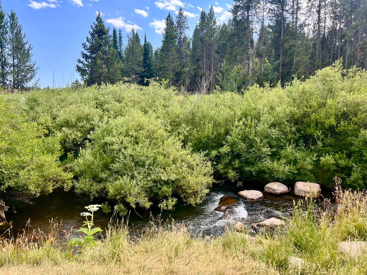 Ho’ Down Hut in Island Park, ID
