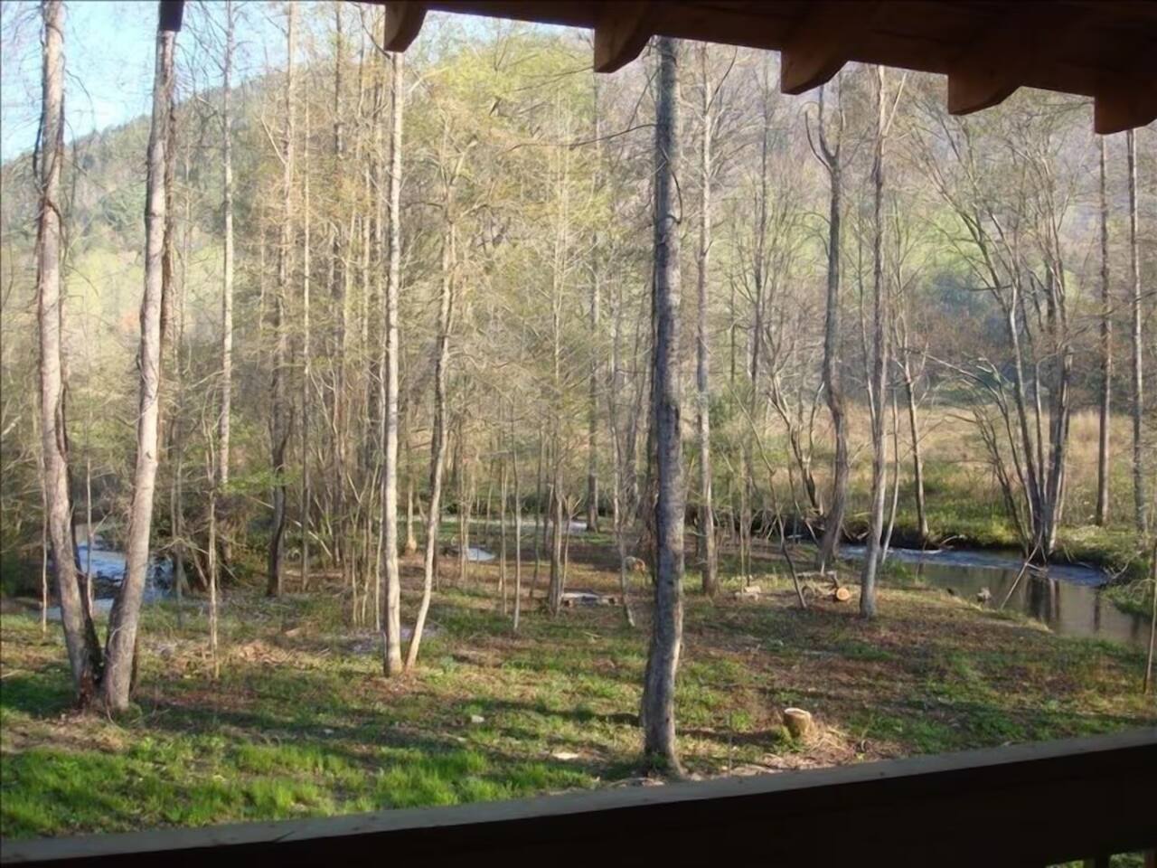 Peaceful Creekside Escape on Yellow Creek | WNC