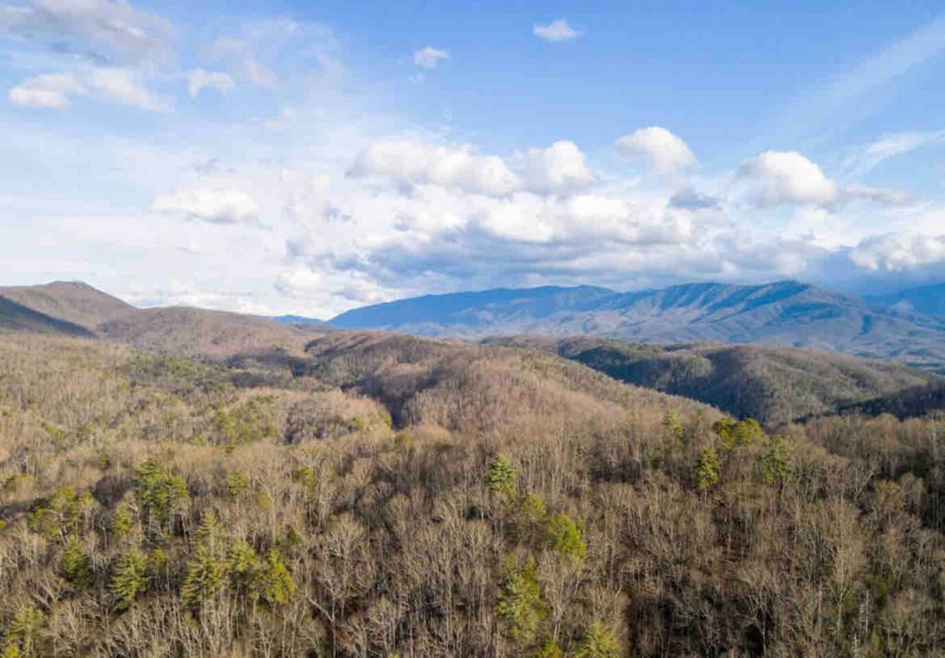 “Mountain Iris” Views! Hot Tub/Games/Dog-Friendly