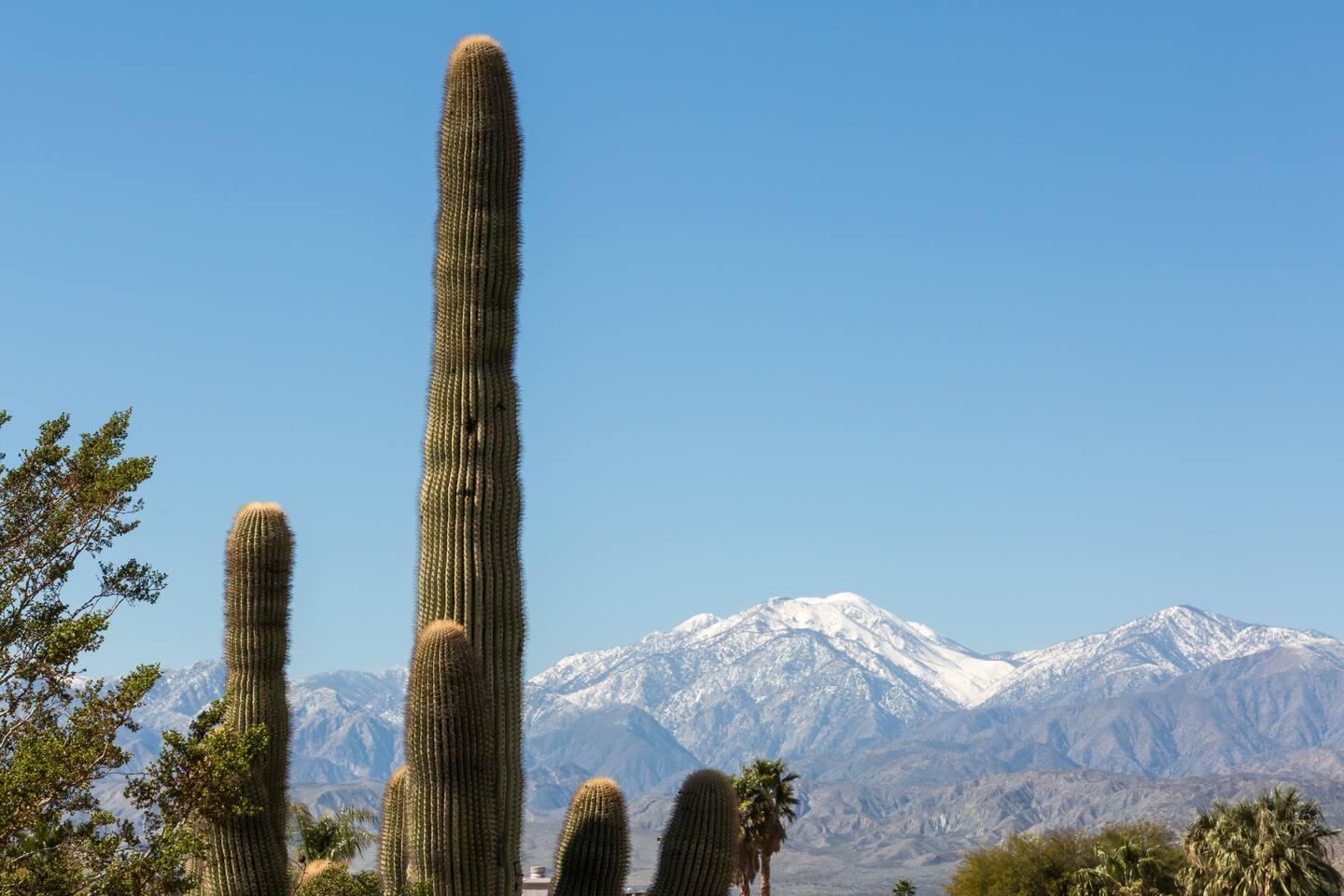Warm & Cozy w Desert Views