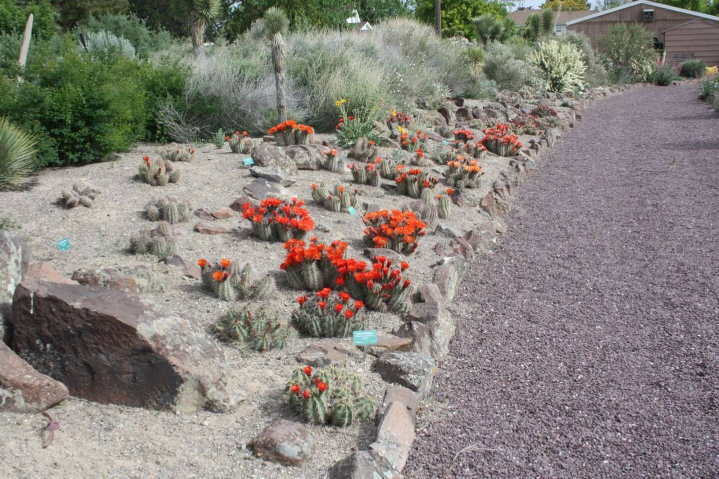 Garden Home in Twin Falls
