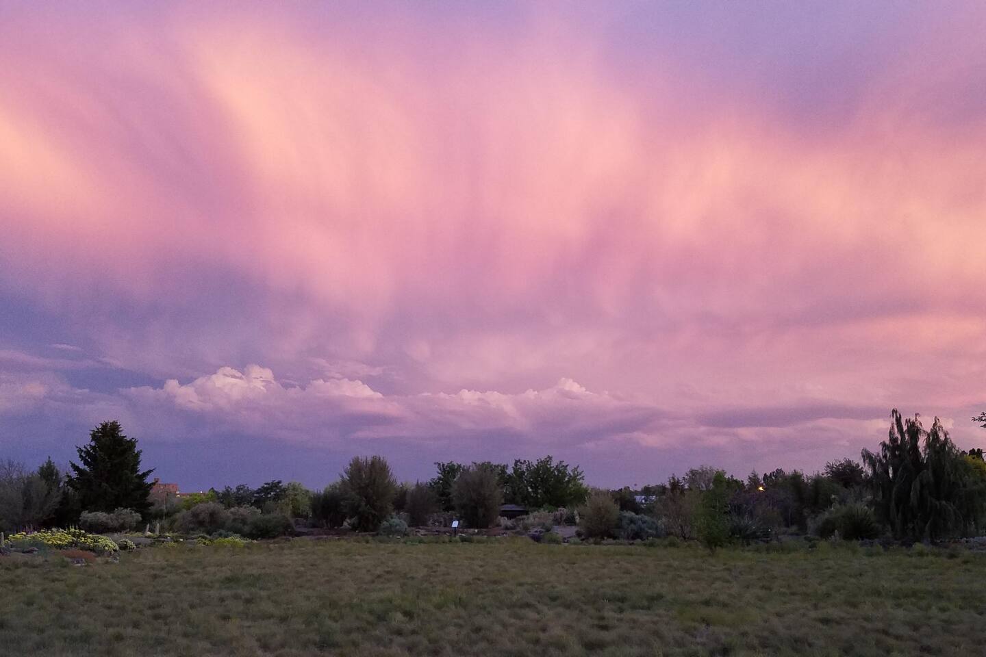 Garden Home in Twin Falls