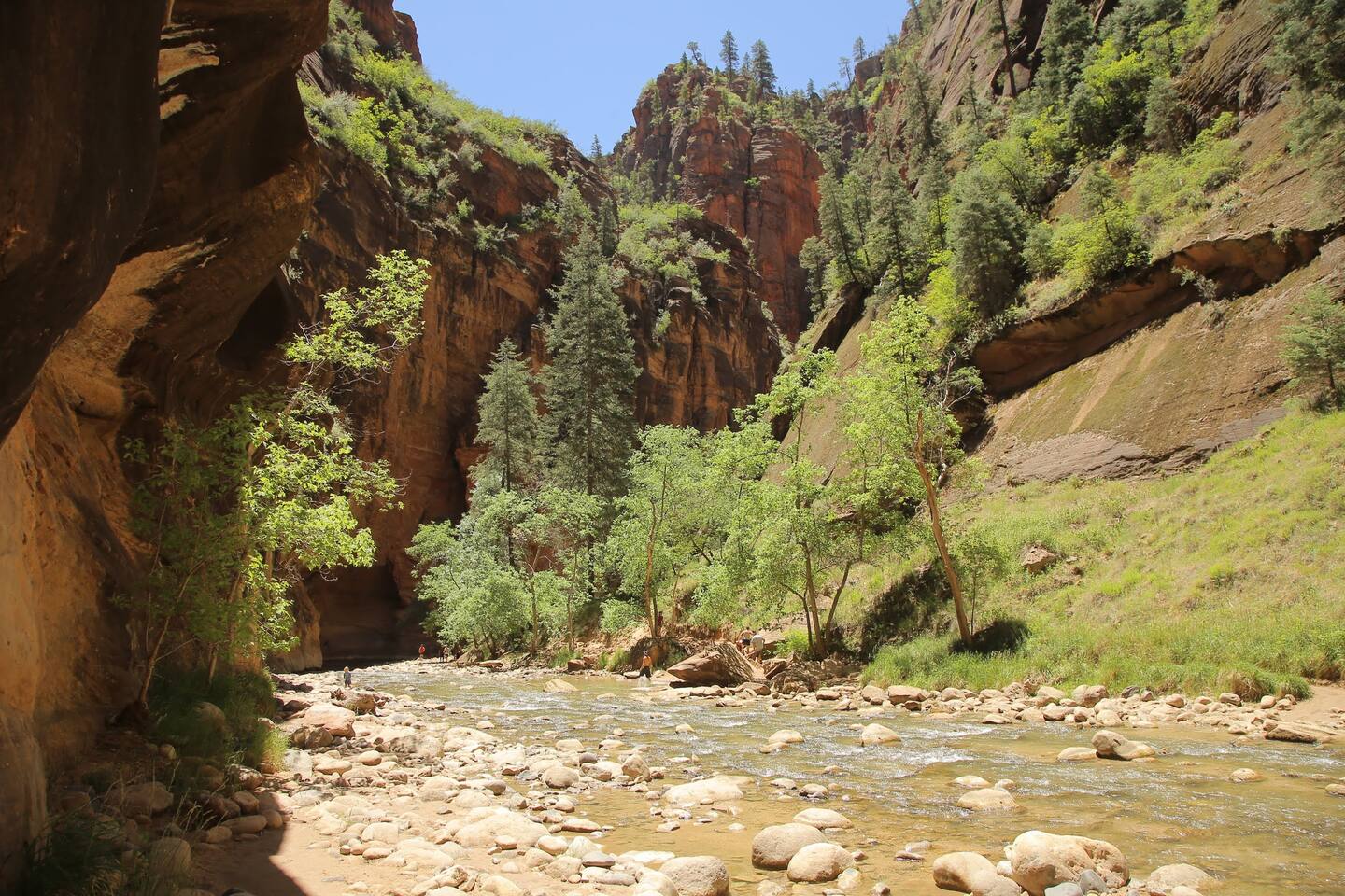 Southern Utah Without the Script