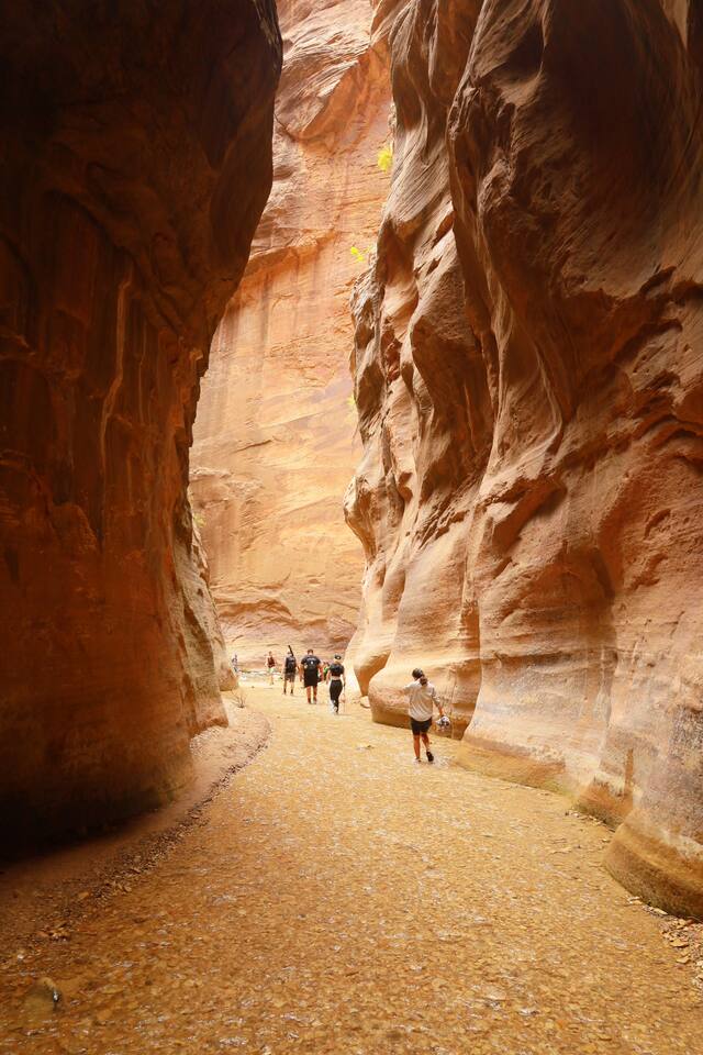Hiking the Zion Narrows — wading upstream through the Virgin River