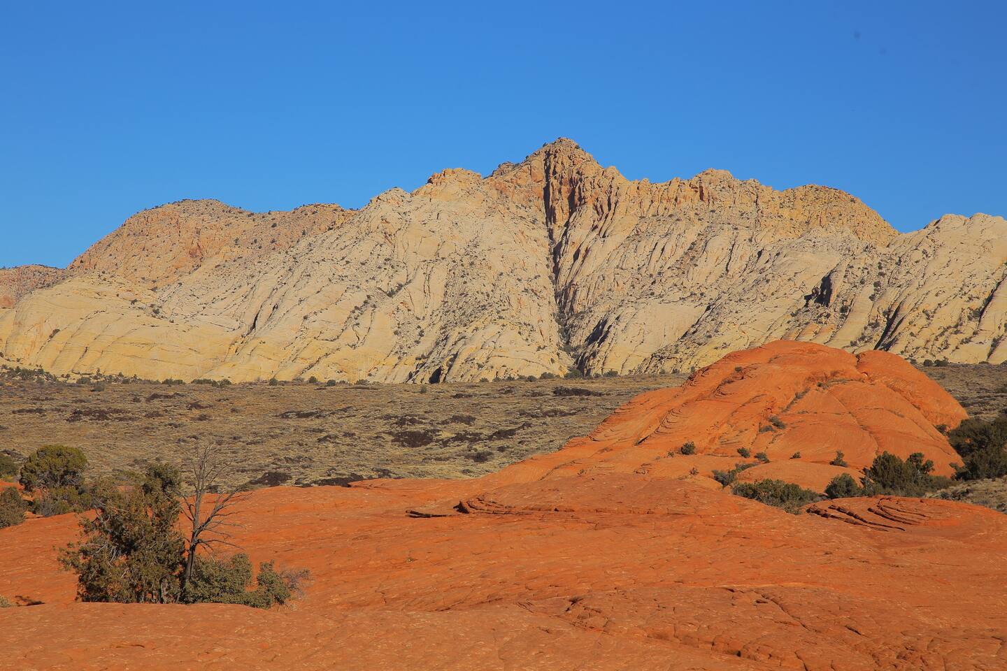 Snow Canyon State Park, near St. George