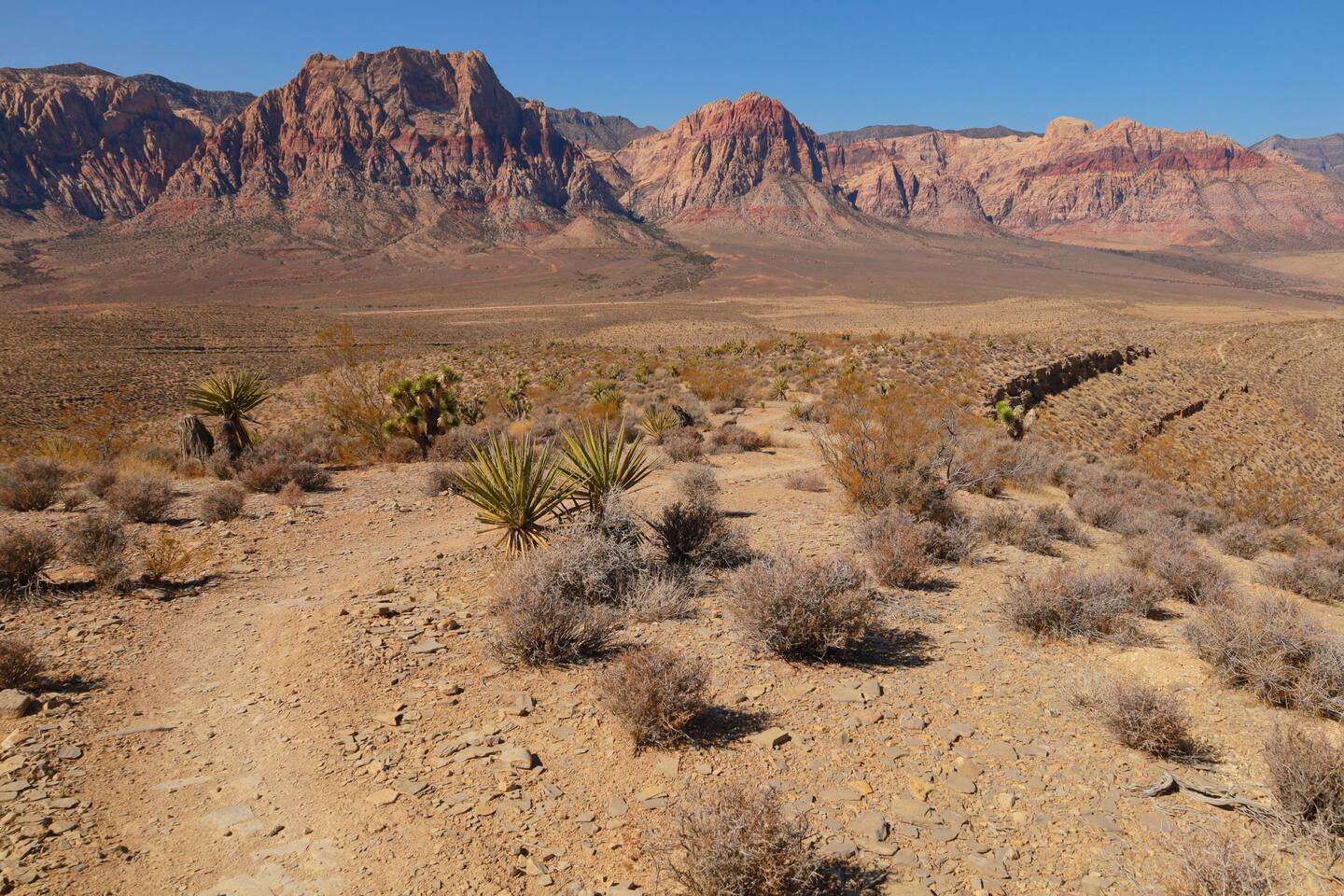 Red Rock Canyon as seen from the Henderson mountain bike trails — 25 minutes away