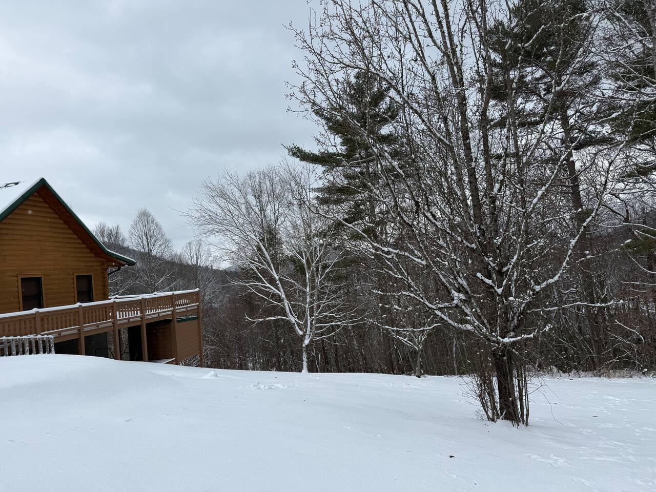 Skyline Lodge