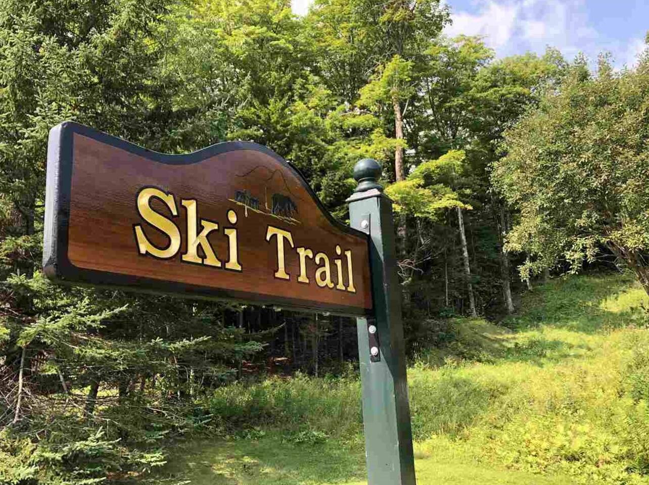 4BD 2BA - Mount Snow VT - Ski-Back Trail - Shuttle