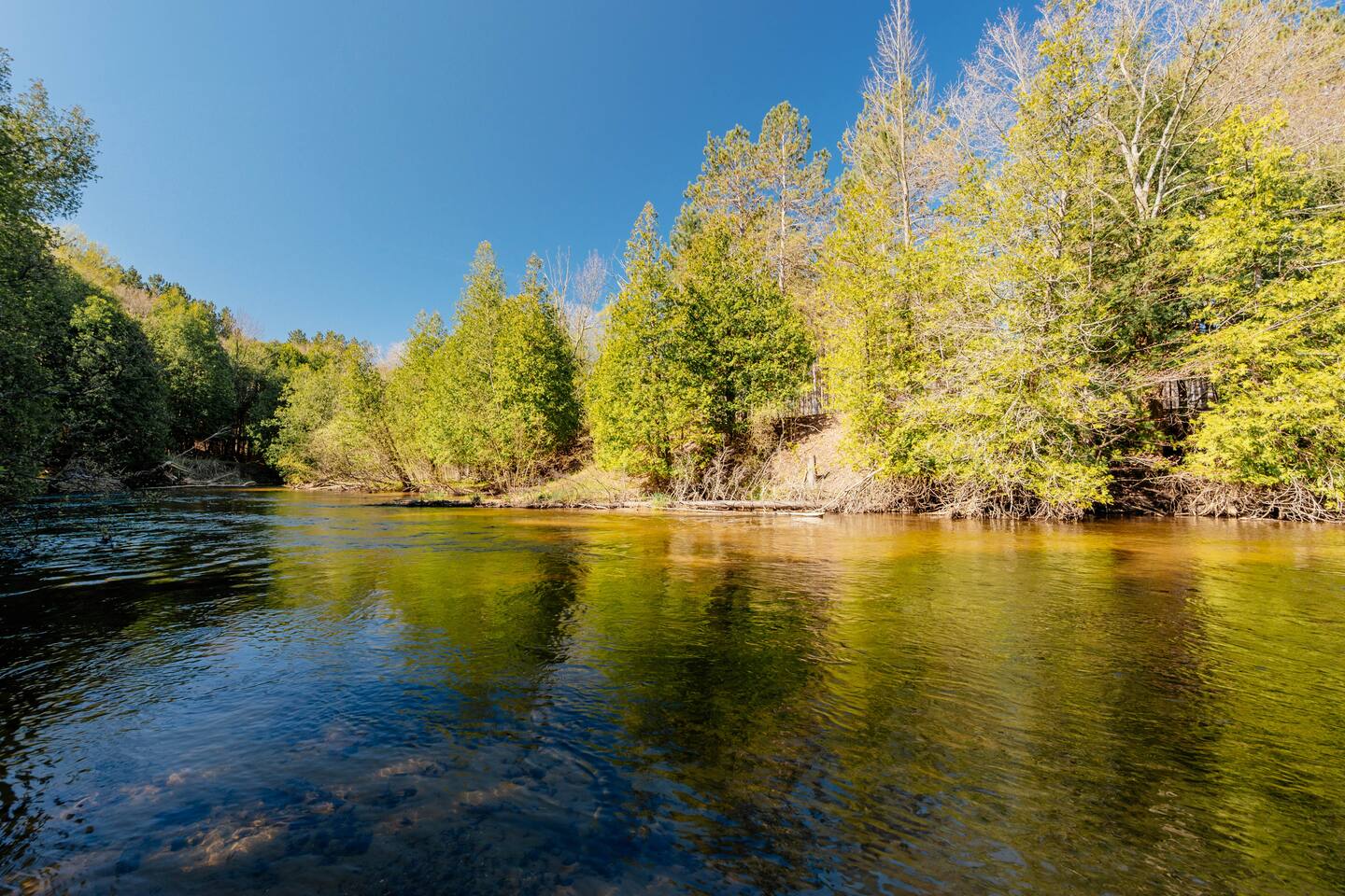 The Cabin on Pine Ridge