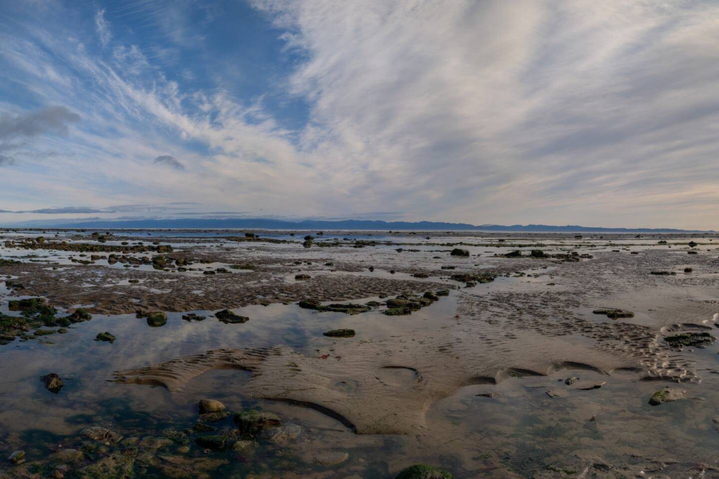 Tidepool Trove ONP Private Beach