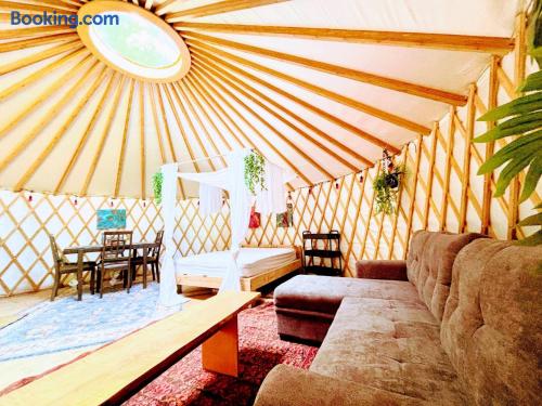 Dreaming SkyLake Yurt Waterfront