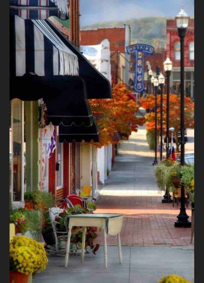 Historic Home in Downtown Clinton