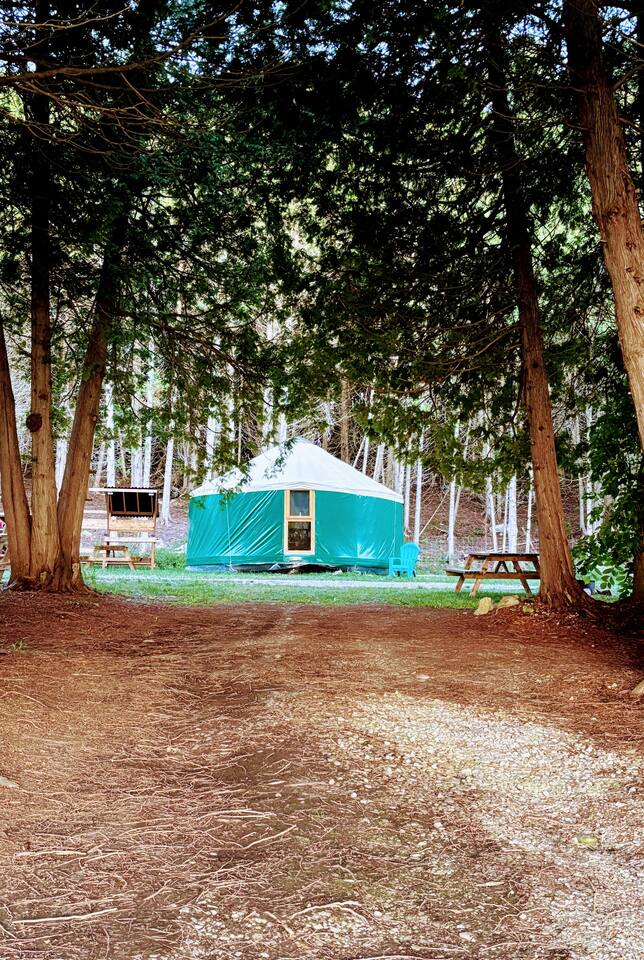 Yurt-Glamp Waterfront CedarGrove