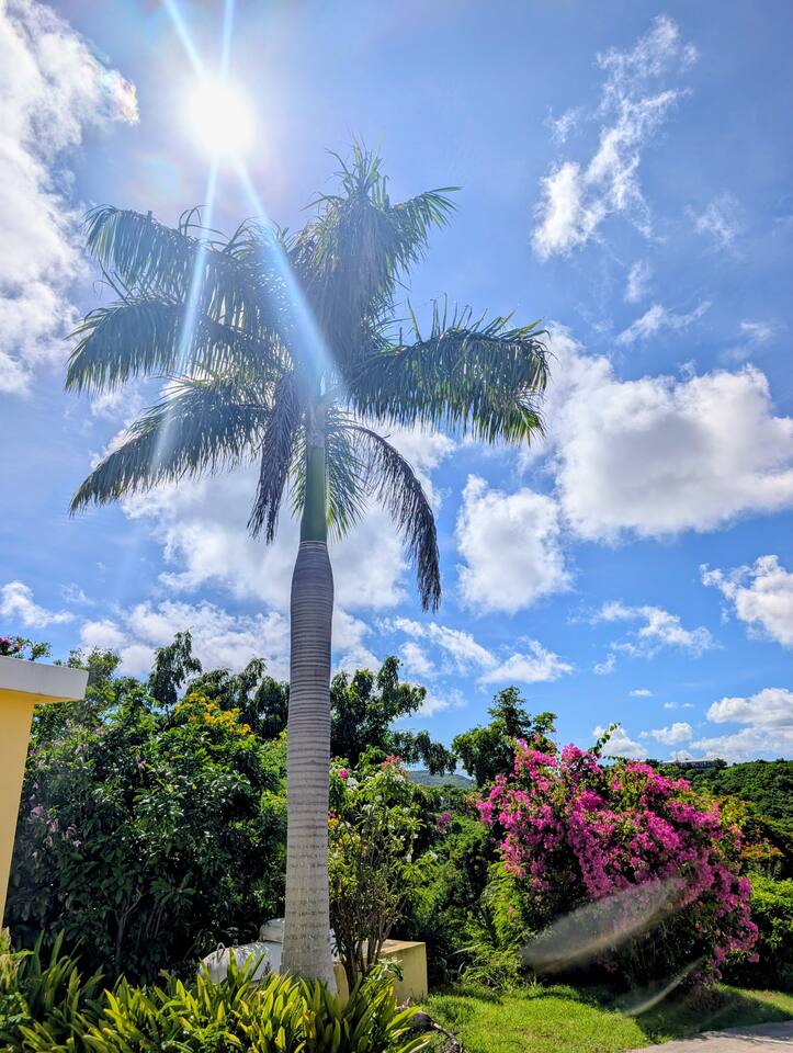 Serenity Estates