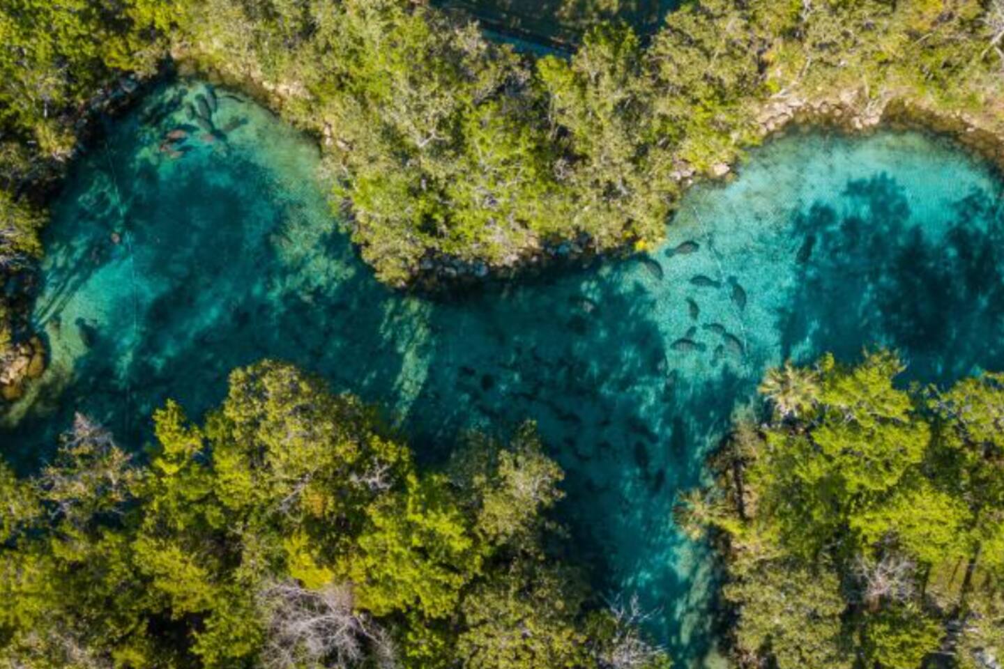 Crystal River A
