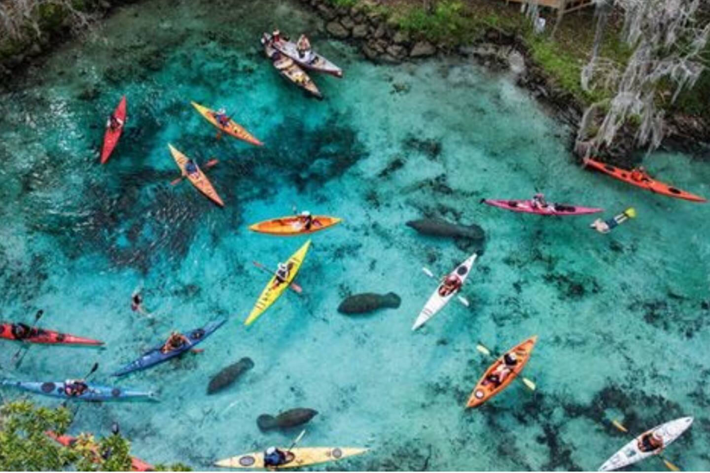 Crystal River A