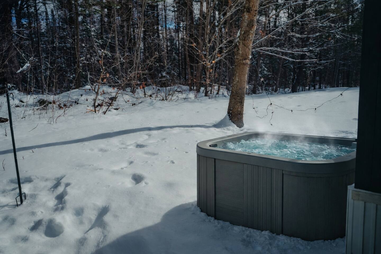 Timberlight Retreat | Tiny Home Cabin