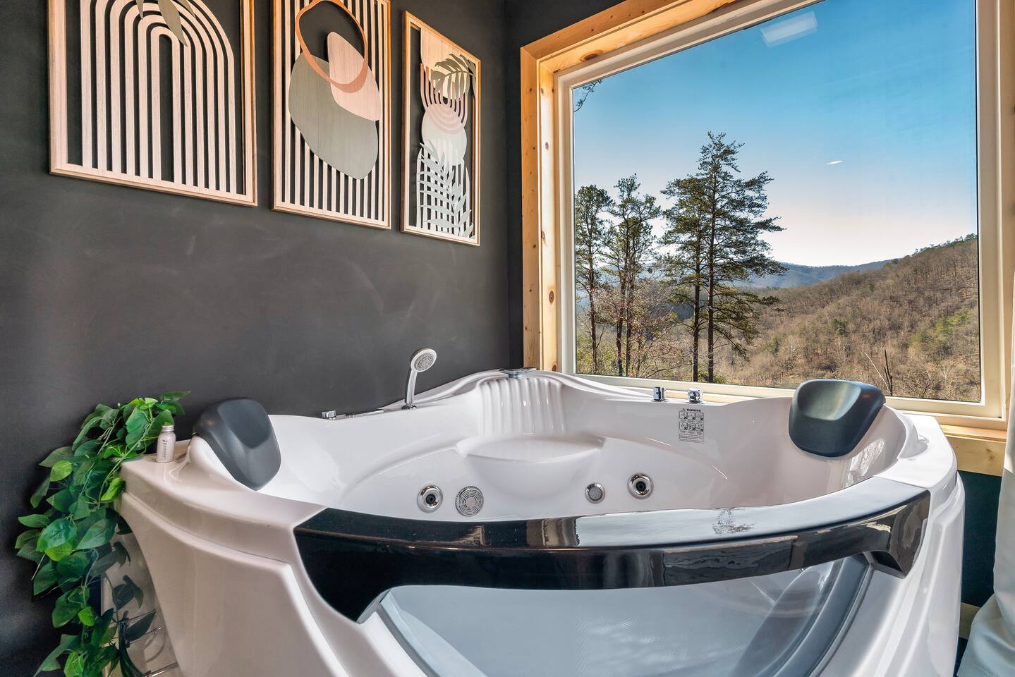 Eagles Nest — Pigeon Forge, TN — vacation rental