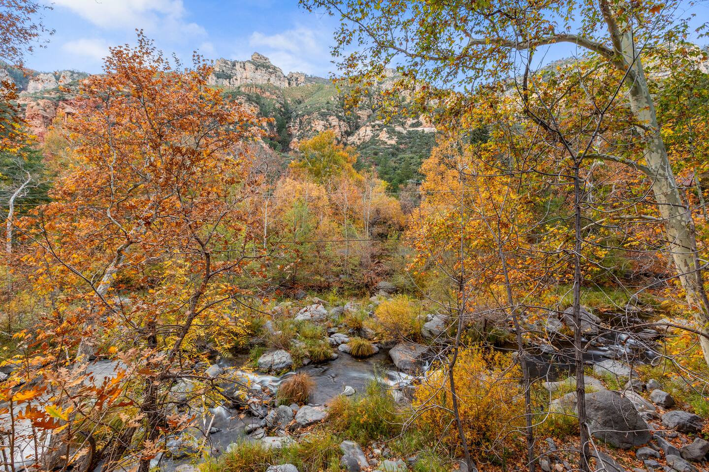 The Creekside Cabin