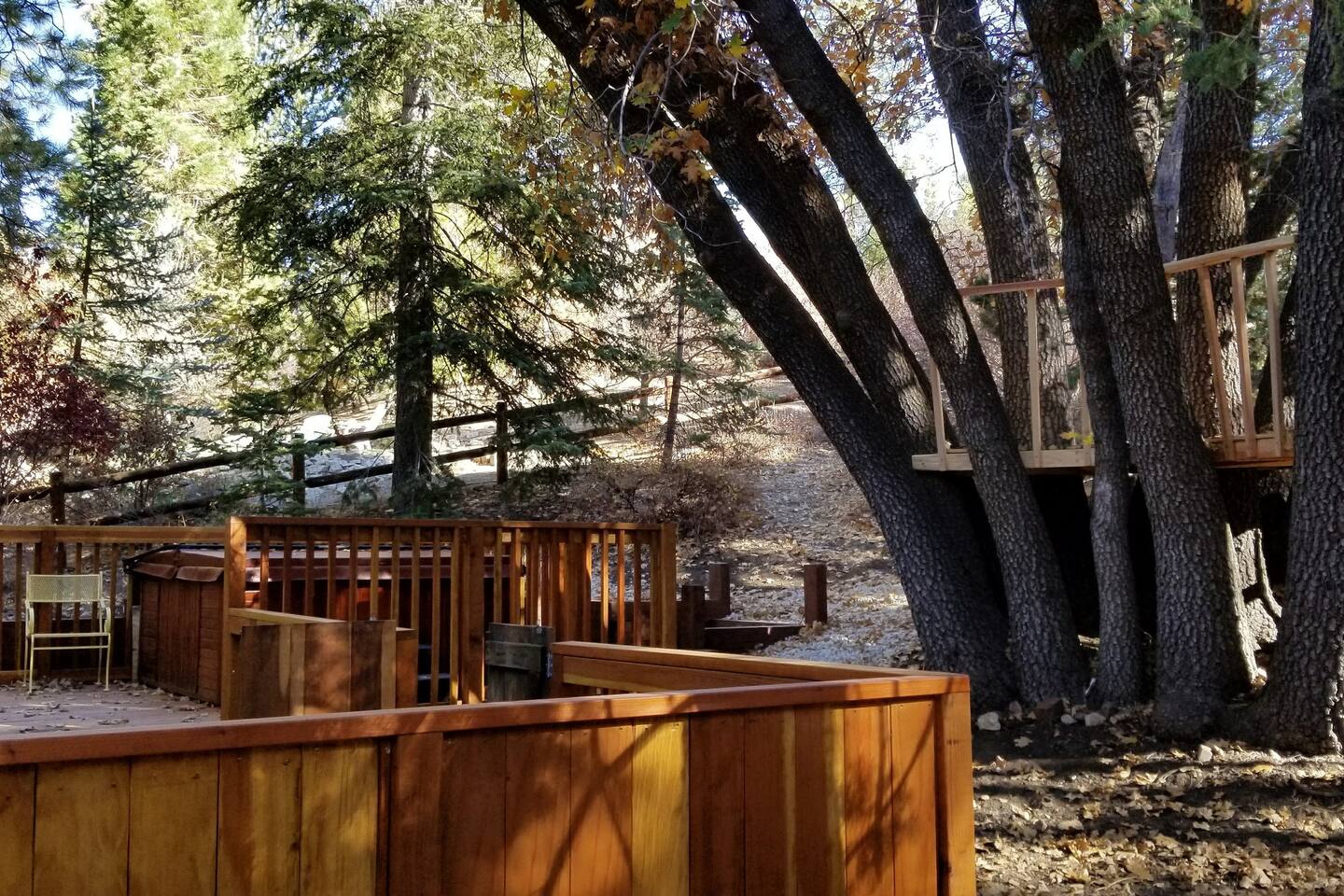 Roni's Retreat