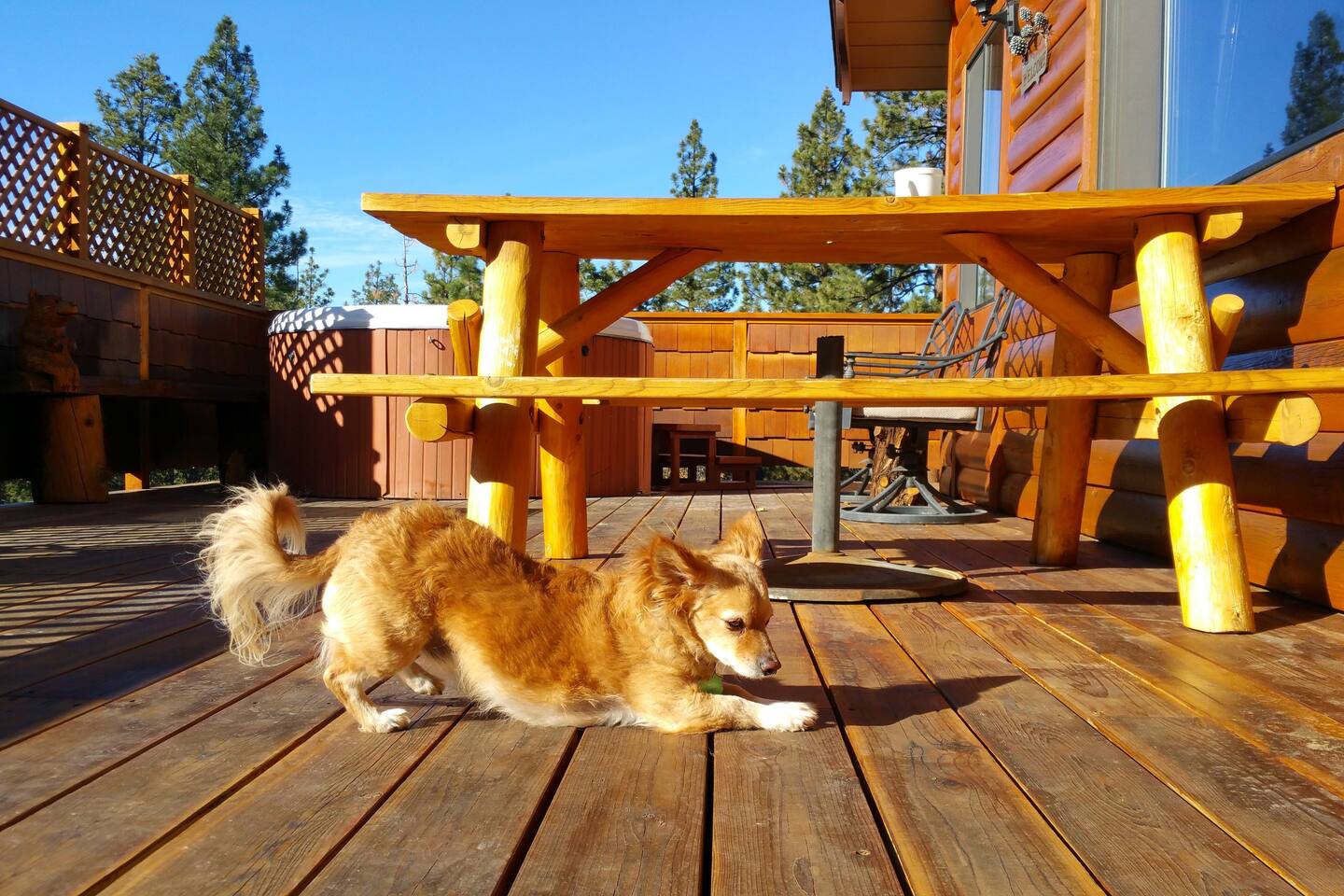Milo Bear Cabin